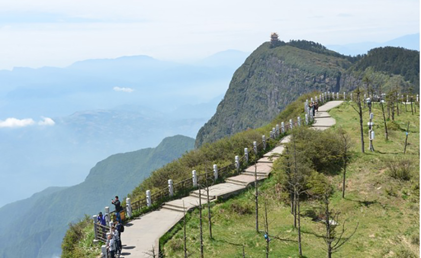 news-Yilida -Enjoy the Different Sunshine-img-1