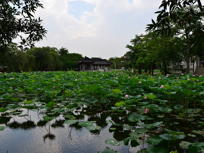 news-Yilida -Traveling :Sunny ,beach, Delicious food-img